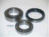 ASHIKA 44-11003 Wheel Bearing Kit